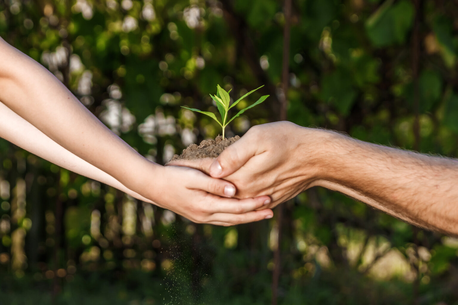 Preservar el medio ambiente