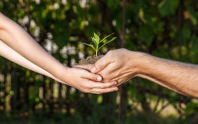 Preservar el medio ambiente
