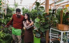Greenwashing