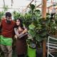 Greenwashing