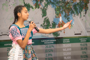 400 mil plantas