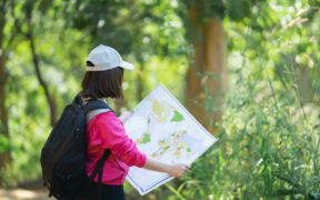 turismo sustentable