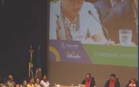 Declaración de Manaos