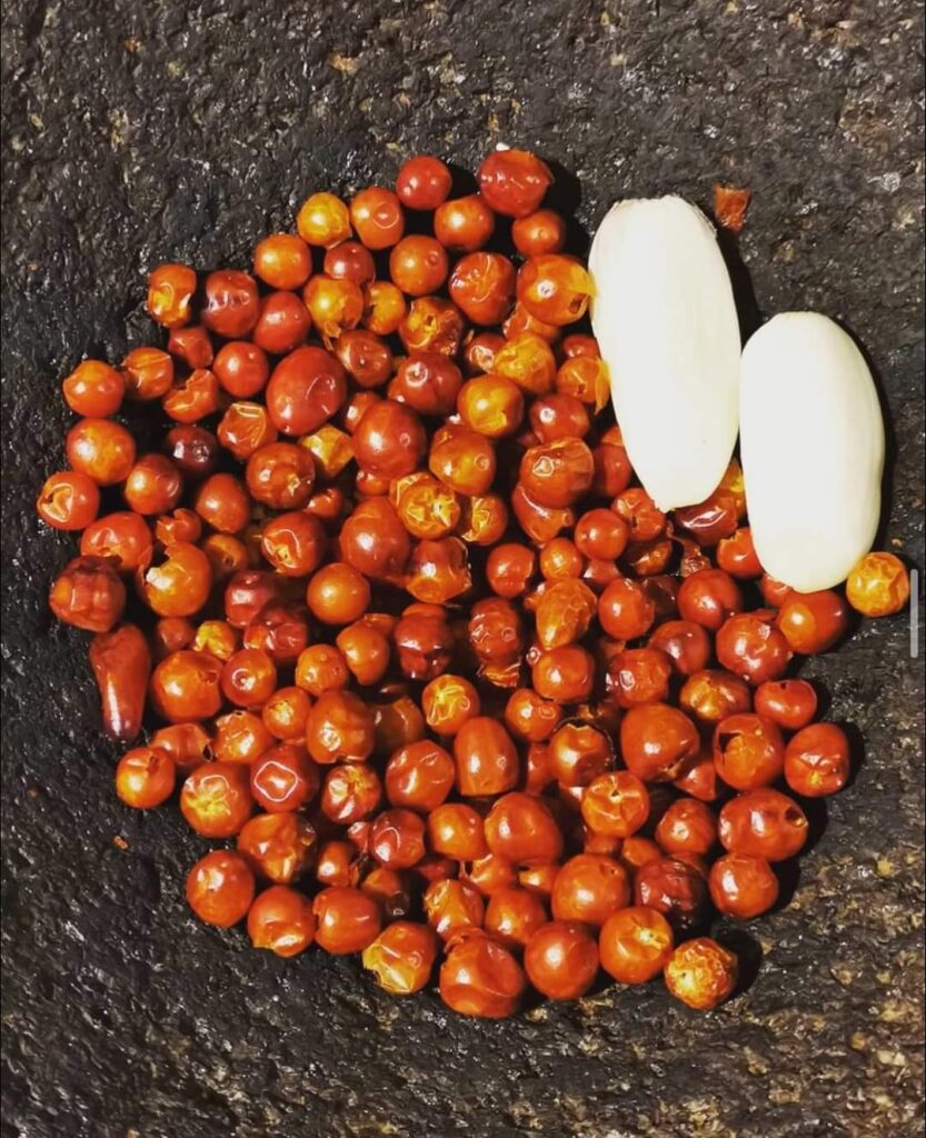 Chile Chiltepín