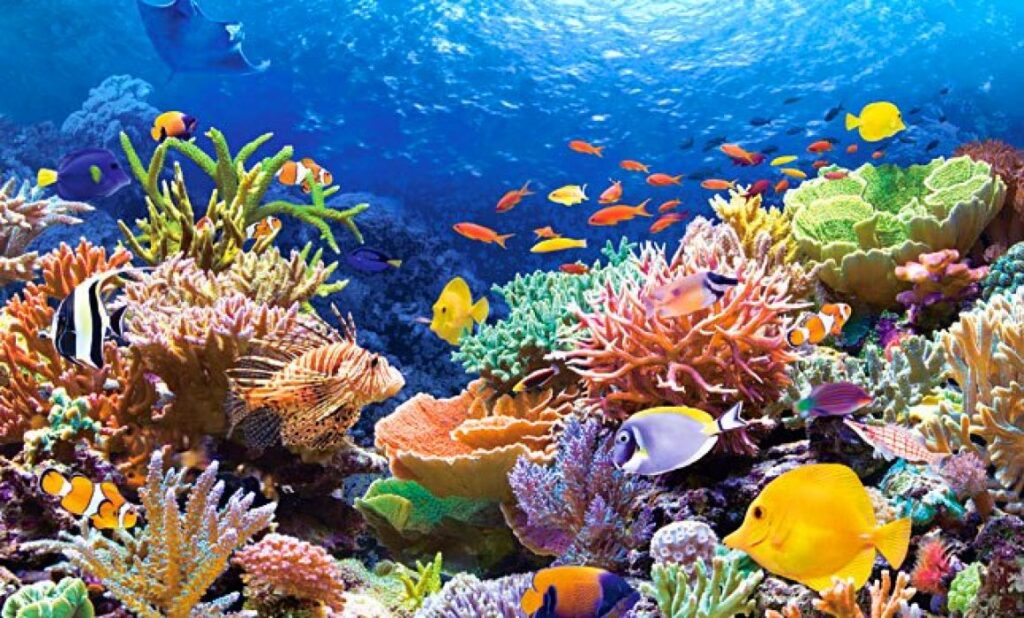 Quintana Roo