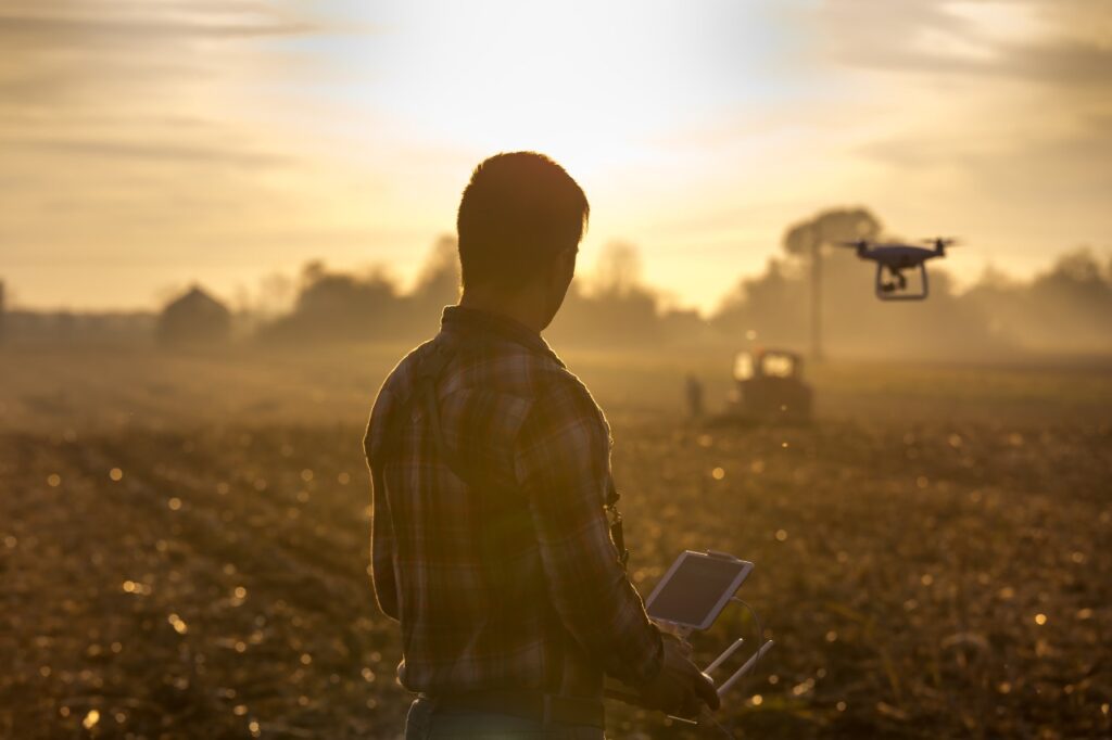 agricultura regenerativa