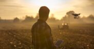 agricultura regenerativa