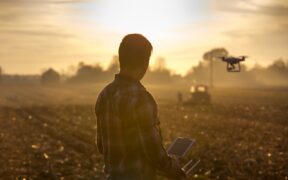 agricultura regenerativa