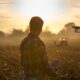 agricultura regenerativa