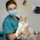 Veterinario