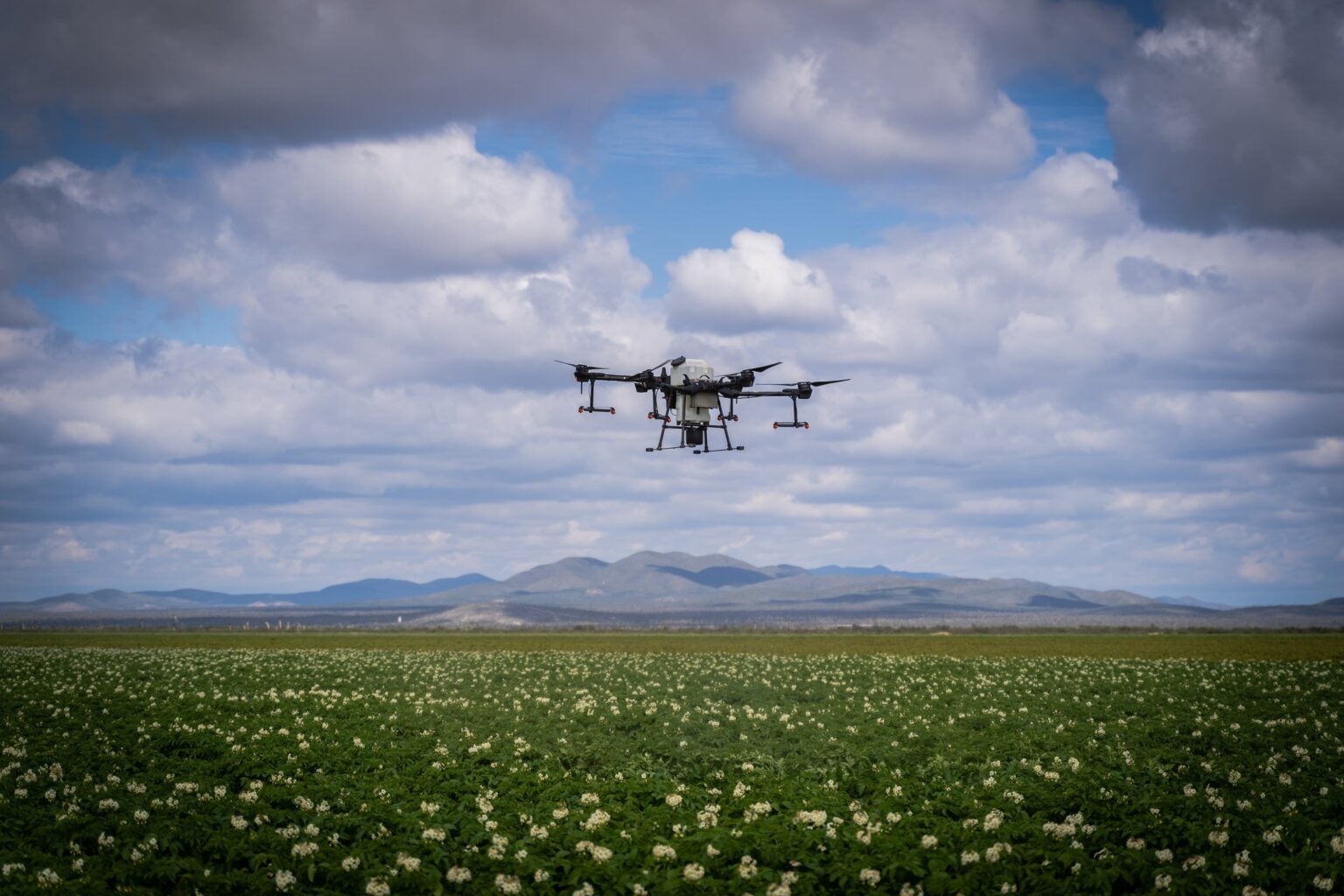digitalización agrícola