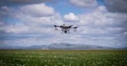 digitalización agrícola