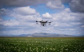 digitalización agrícola