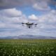 digitalización agrícola
