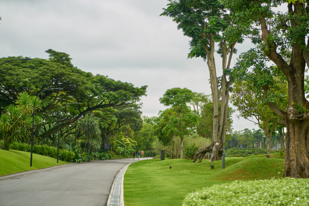 “Jardín de la Igualdad”