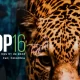 COP16