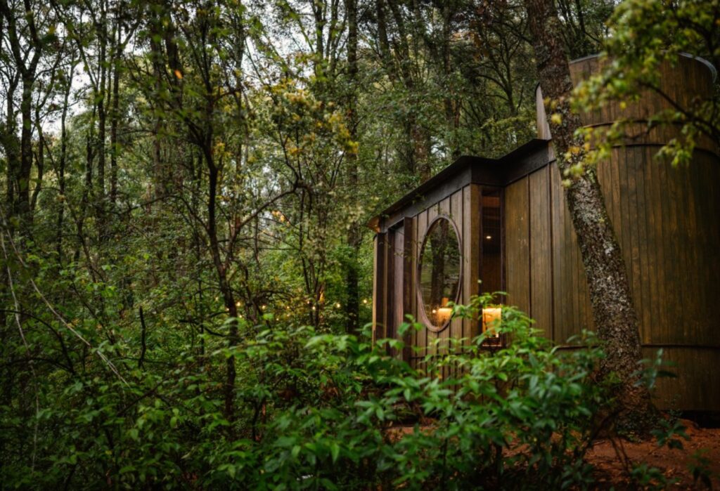wander Cabins
