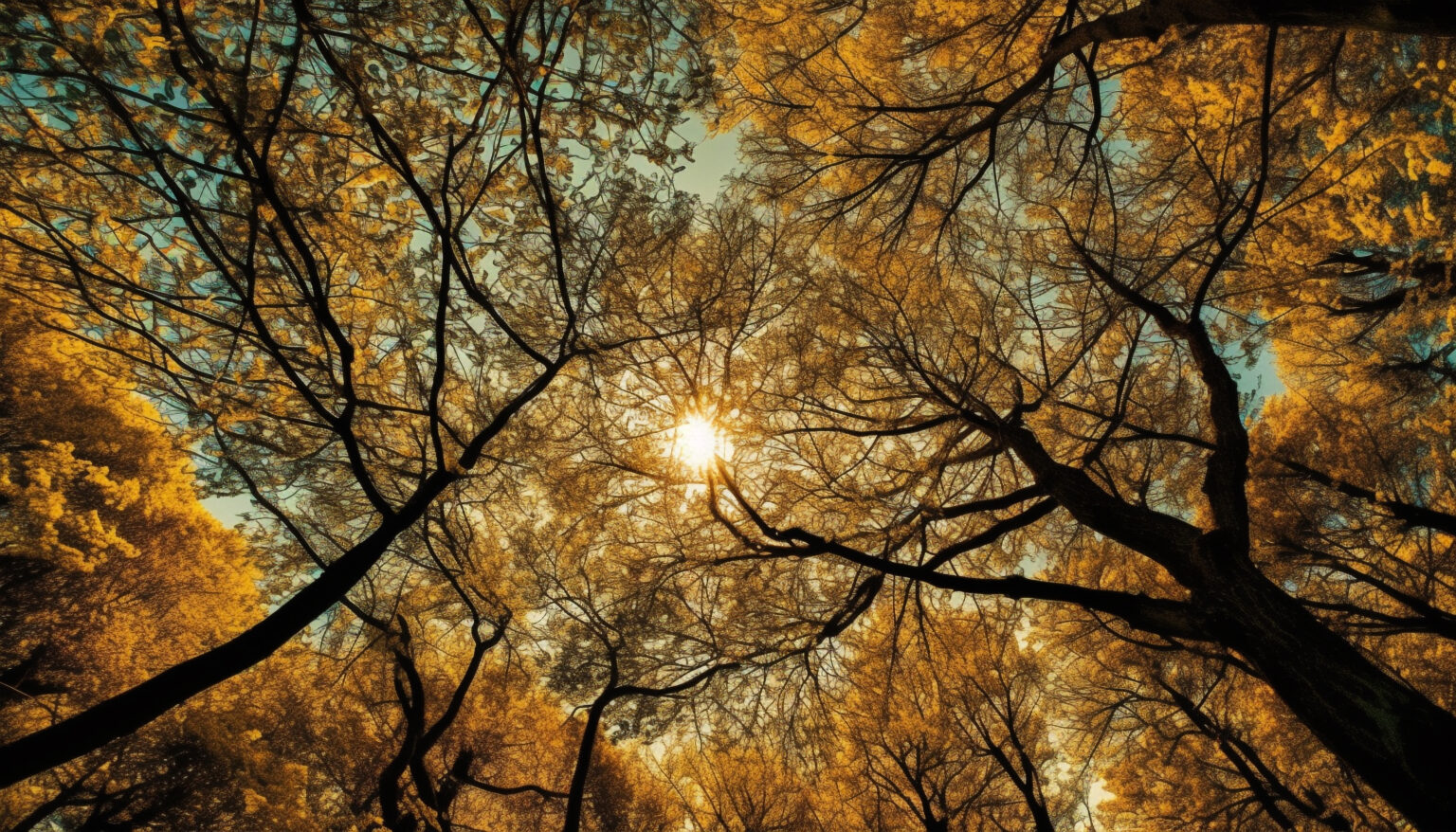 Equinoccio de otoño