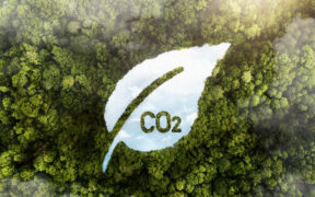 Neutra en carbono