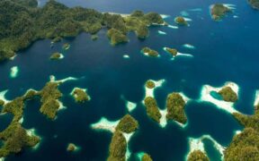 Triángulo de coral