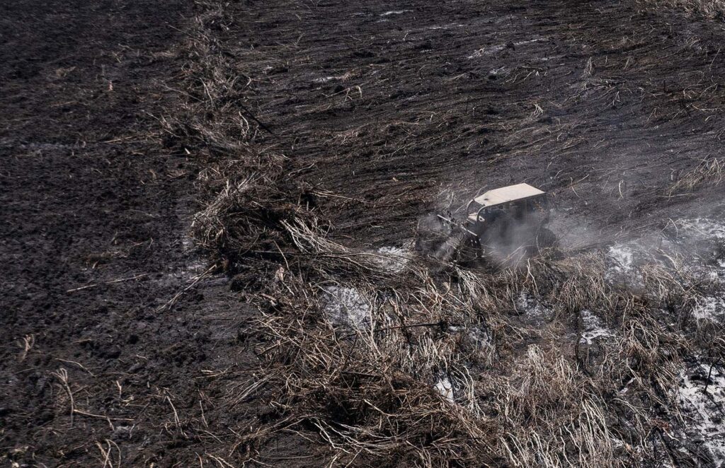 emergencia socioambiental Deforestación de la selva de Bacalar para la expansión de campos menonitas