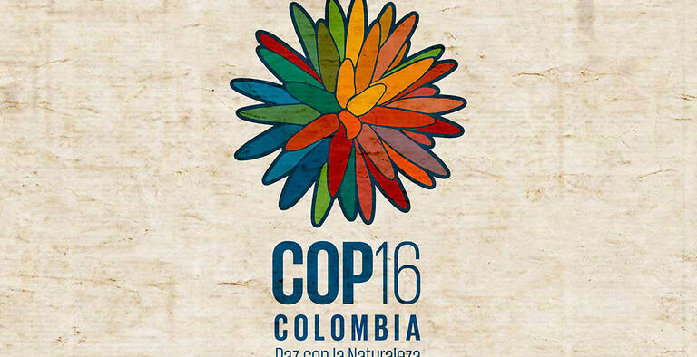 cop 16 en colombia