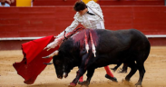Corridas de toros