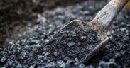 biochar mexicano