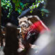 CONSERVACIÓN DEL JAGUAR