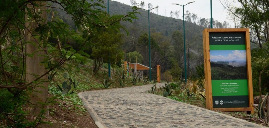 SIERRA DE GUADALUPE, REGALA UN ÁRBOL