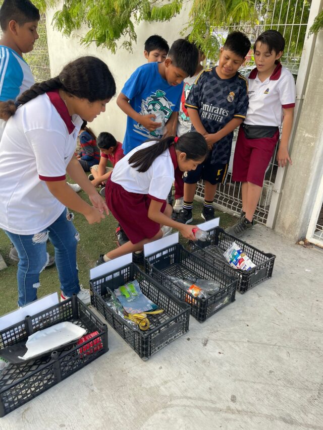 educación ambiental en Tulum