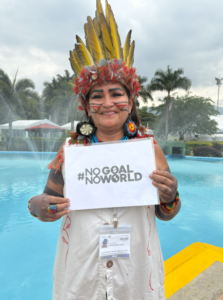 financiamiento climático justo_no goal no world