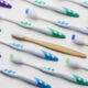 Microorganismos