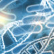 Bacterias