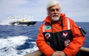 PAUL WATSON
