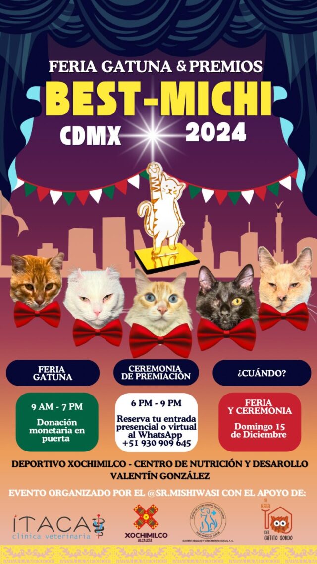 Premios Best Michi 2024
