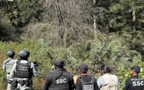 talador ilegal