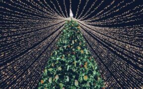 Navidad