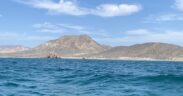 Cabo Pulmo