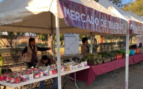 mercado del trueque 2025