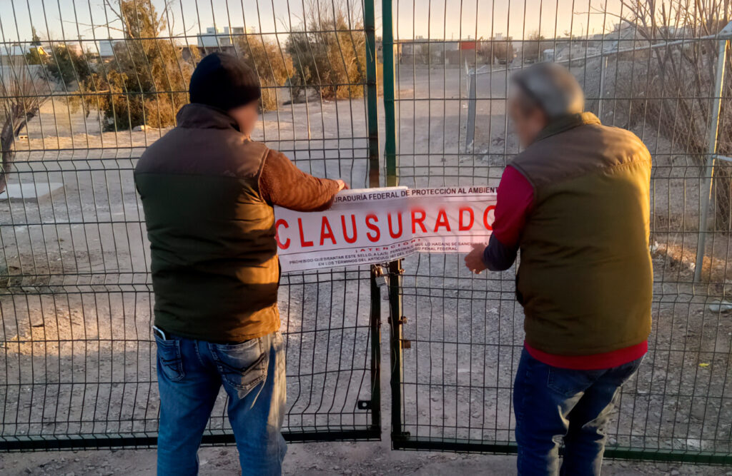EL CHAMIZAL