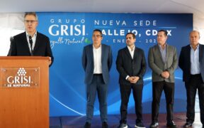 GRUPO GRISI
