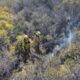 incendios forestales activos