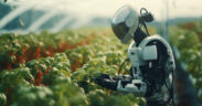robots autónomos para reforestar