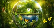 medio ambiente
