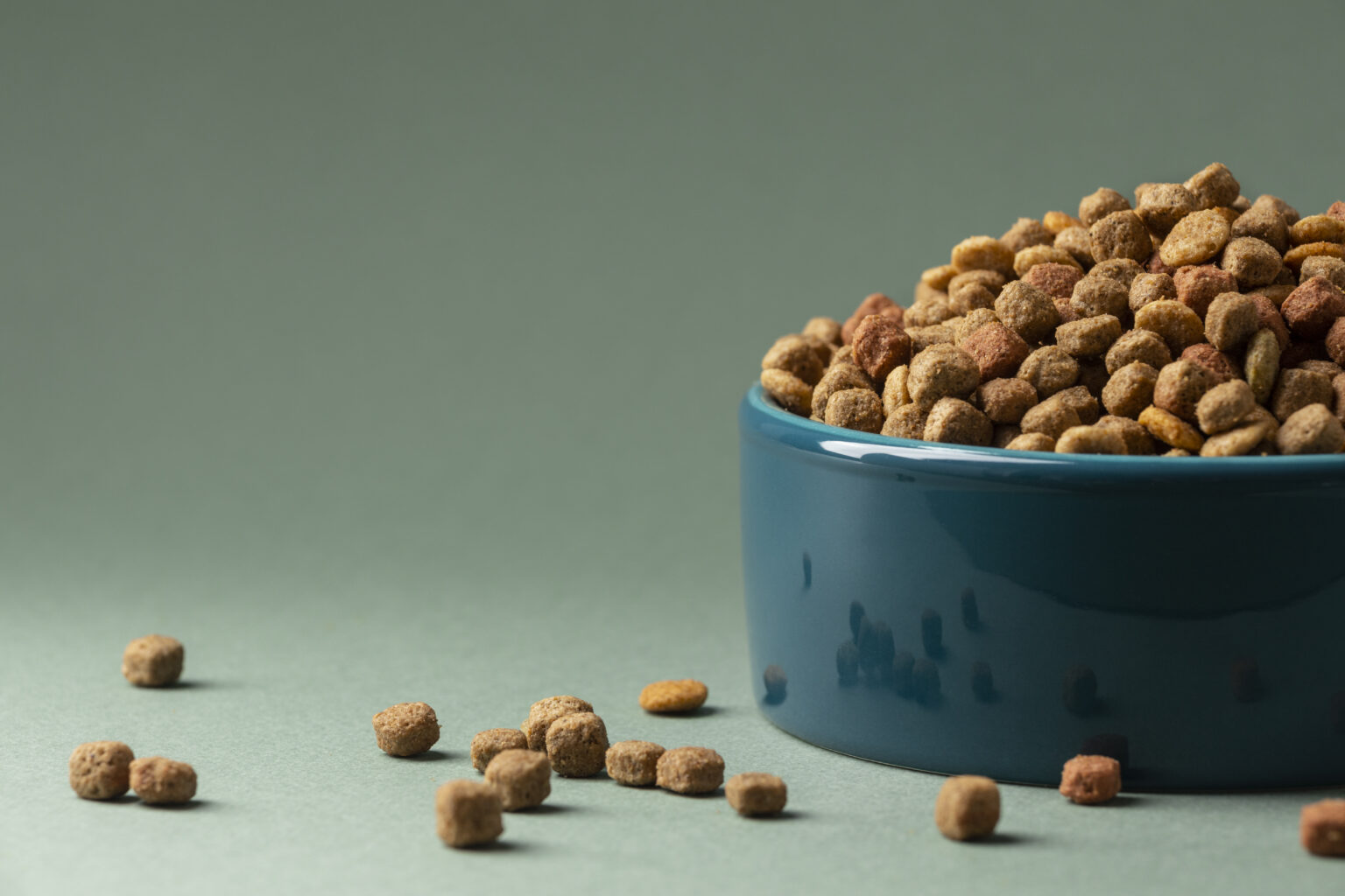 Alimento para gato