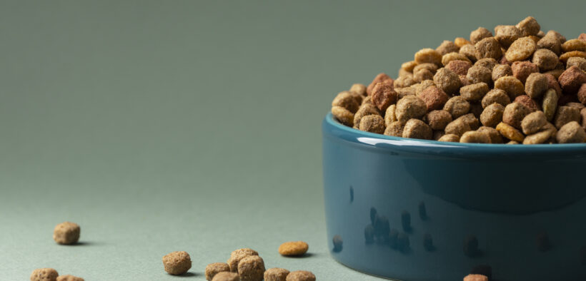 Alimento para gato