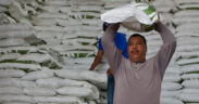 FERTILIZANTES GRATUITOS