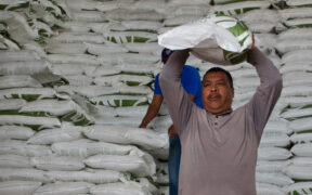 FERTILIZANTES GRATUITOS
