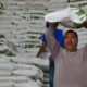 FERTILIZANTES GRATUITOS
